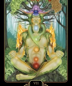 US Games Dreams Of Gaia Tarot Deck 8 US Games Dreams Of Gaia Tarot Deck