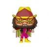 Macho Man Randy Savage 79 - WWE - Funko Pop Catalog