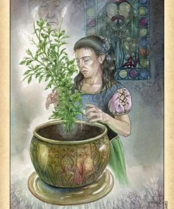 US Games Ghosts & Spirits Tarot Deck