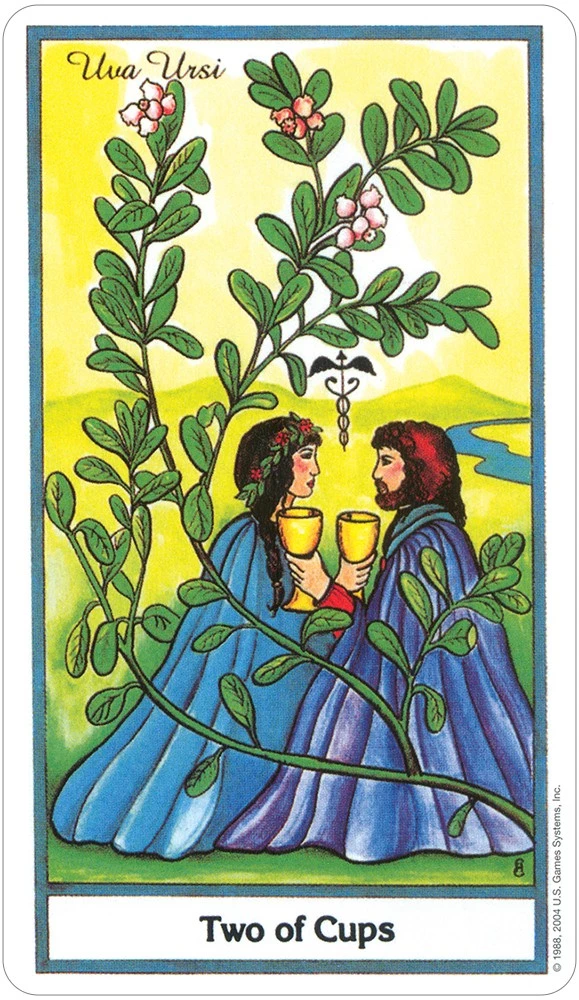 US Games The Herbal Tarot 4 US Games The Herbal Tarot