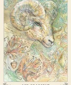 US Games Spiritsong Tarot 16 US Games Spiritsong Tarot