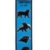 Winning Streak Carolina Panthers Heritage Banner