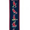 Winning Streak St Louis Cardinals Heritage Banner Catalog